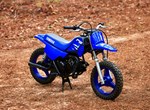Yamaha PW50