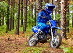 Yamaha TT-R110E