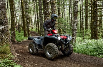 Yamaha Grizzly 700 EPS 2025 - Bild 4