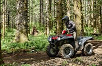 Yamaha Grizzly 700 EPS 2025 - Bild 5