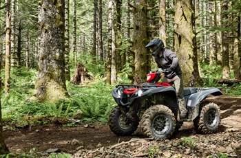 Yamaha Grizzly 700 EPS 2025 - Bild 5