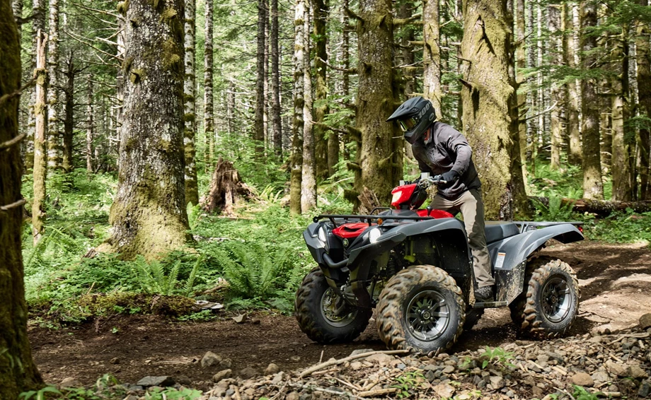 Yamaha Grizzly 700 EPS Bild 4: Yamaha Grizzly 700 EPS