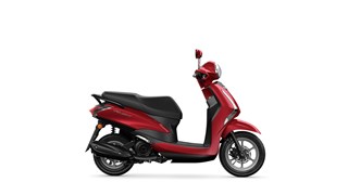 Yamaha D'elight