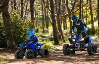 Yamaha YFZ50 2025 - Bild 7