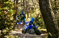 Yamaha YFZ50 2025 - Bild 8
