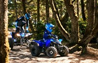 Yamaha YFZ50 2025 - Bild 9