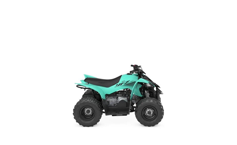Yamaha YFZ50 Bild 3: Yamaha YFZ50