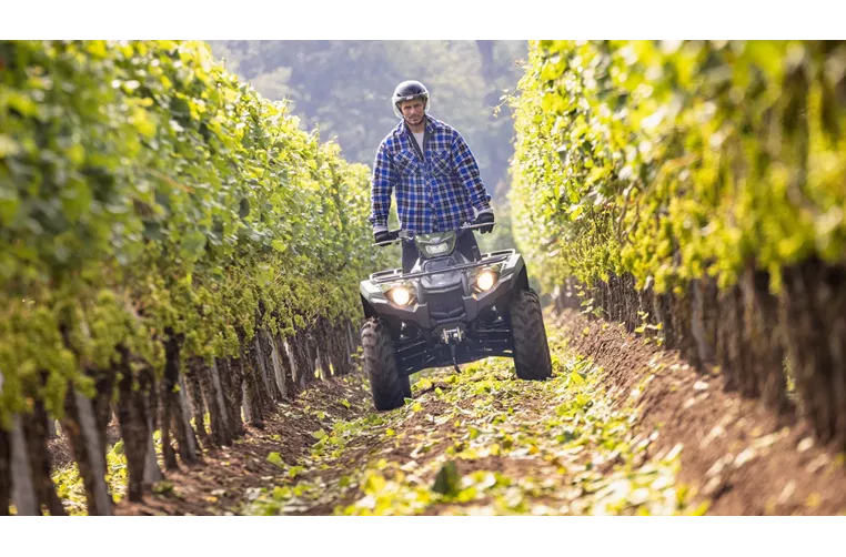 Yamaha Kodiak 450 EPS 2025 Yamaha Kodiak 450 EPS 2025