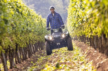 Yamaha Kodiak 450 EPS 2025 - Bild 4