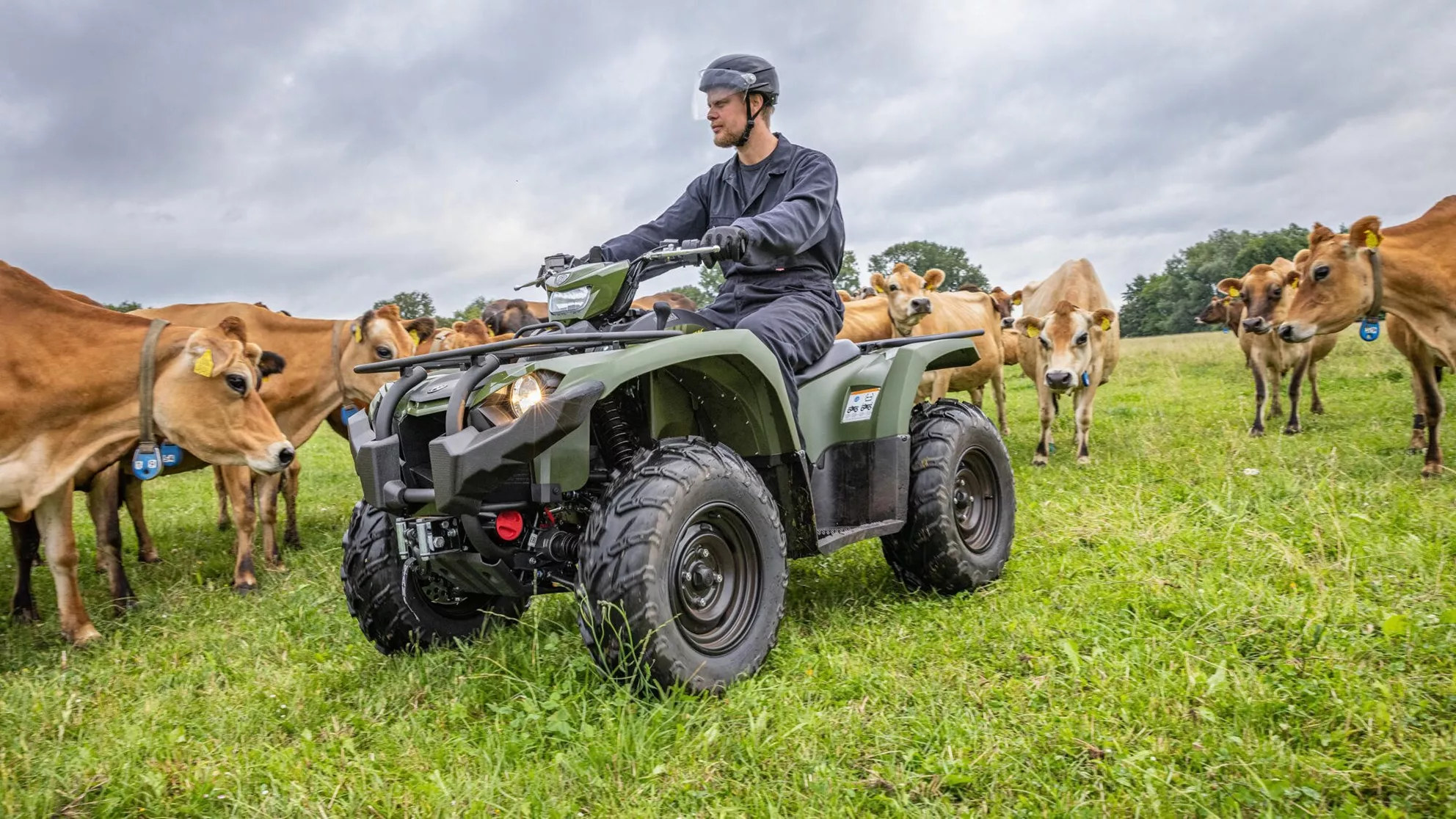 Yamaha Kodiak 450 EPS - Image 3 Yamaha Kodiak 450 EPS - Image 3