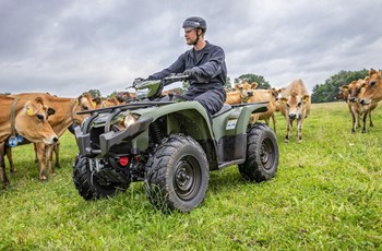 Yamaha Kodiak 450 EPS 2025 - Bild 5
