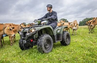 Yamaha Kodiak 450 EPS 2025 - Bild 5 Yamaha Kodiak 450 EPS 2025 - Bild 5