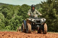 Yamaha Kodiak 450 EPS SE 2025 - Bild 3 Yamaha Kodiak 450 EPS SE 2025 - Bild 3