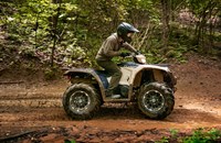 Yamaha Kodiak 450 EPS SE 2025 - Bild 4 Yamaha Kodiak 450 EPS SE 2025 - Bild 4