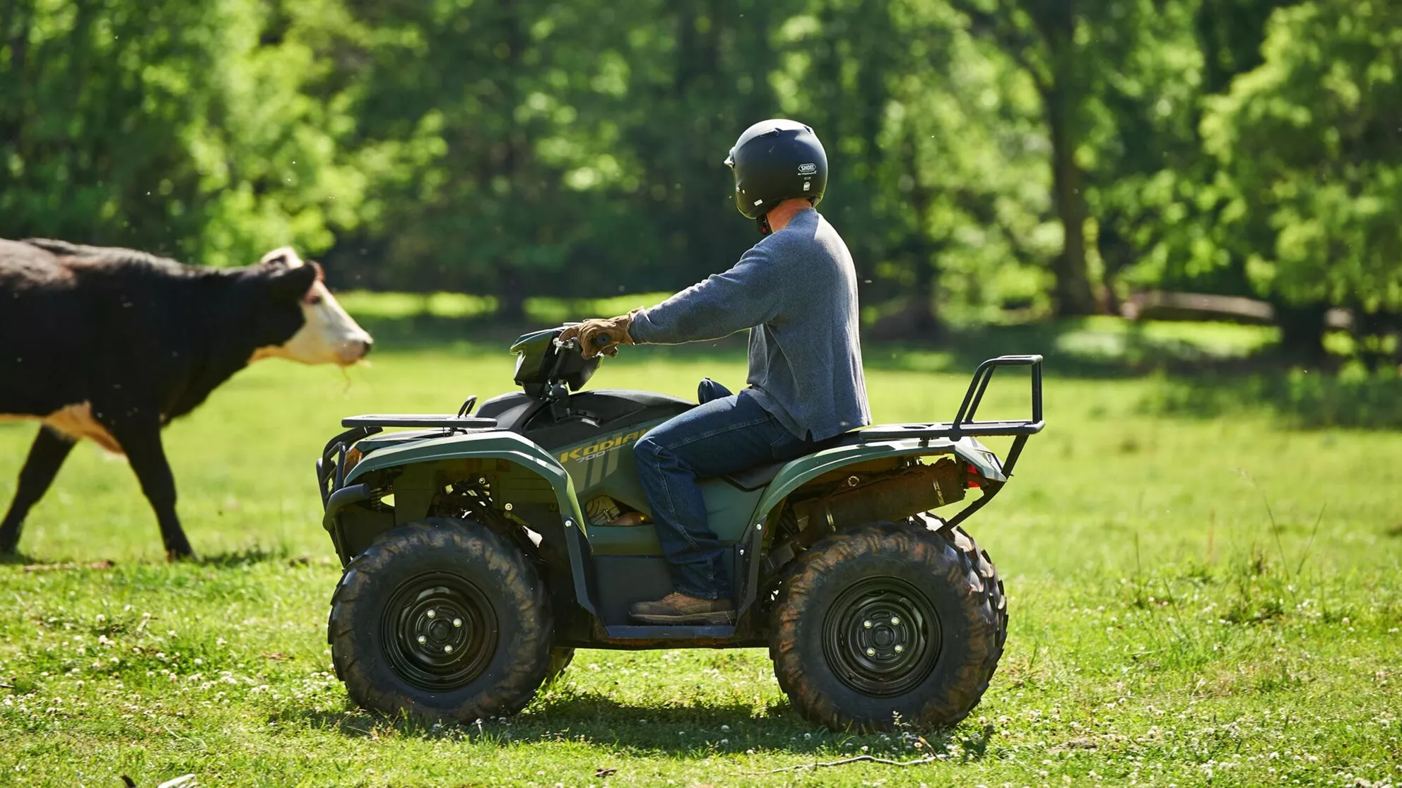 Yamaha Kodiak 700 EPS - Image 3 Yamaha Kodiak 700 EPS - Image 3