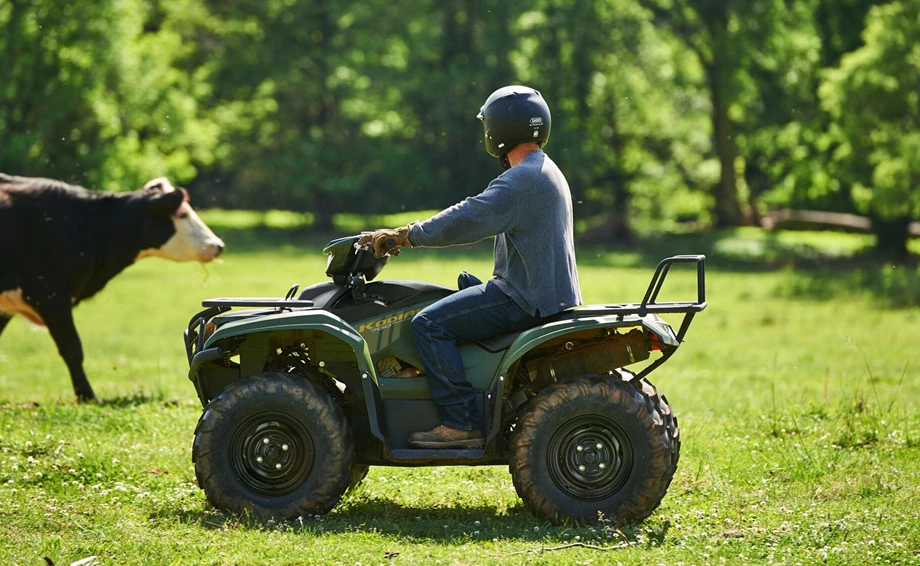 Yamaha Kodiak 700 EPS Bild 4: Yamaha Kodiak 700 EPS