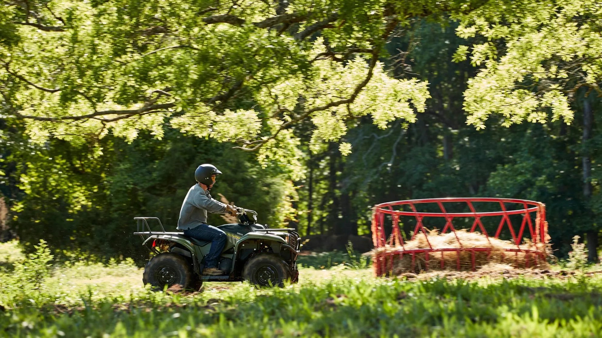 Yamaha Kodiak 700 EPS - Image 4 Yamaha Kodiak 700 EPS - Image 4