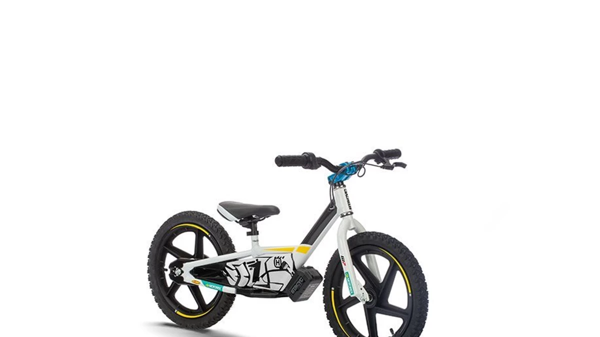 Husqvarna EE 1.16 Bild 4: Husqvarna EE 1.16