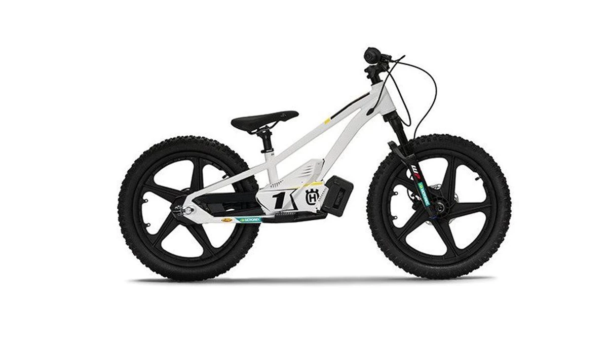 Husqvarna EE 1.20 Bild 1: Husqvarna EE 1.20