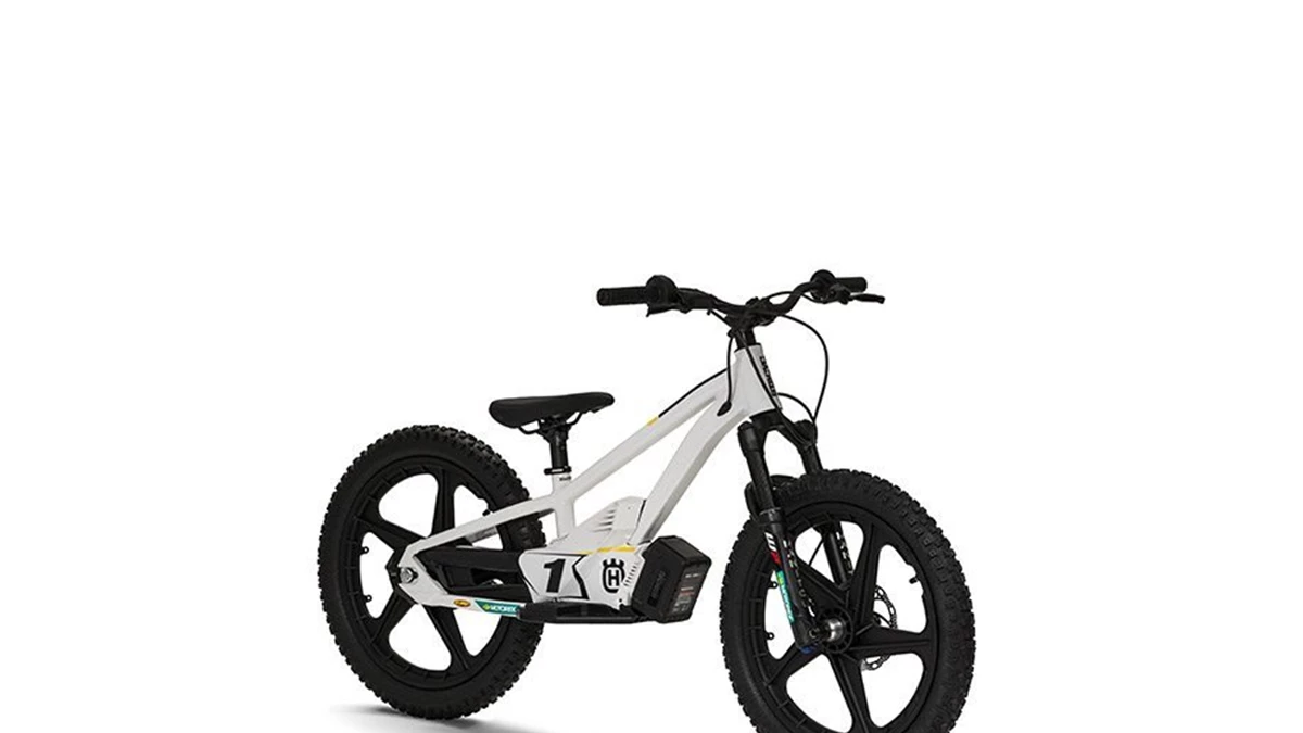 Husqvarna EE 1.20 Bild 2: Husqvarna EE 1.20