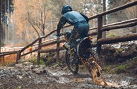 Husqvarna TE 125 2025 - Bild 10