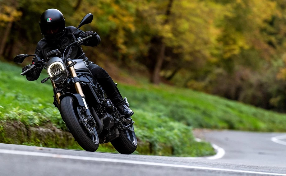 Benelli Leoncino 800 Bild 2: Benelli Leoncino 800