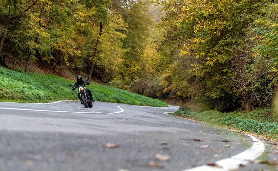 Benelli Leoncino 800 Bild 6: Benelli Leoncino 800