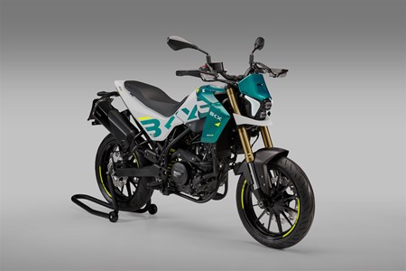 Benelli BKX 300 S 2025