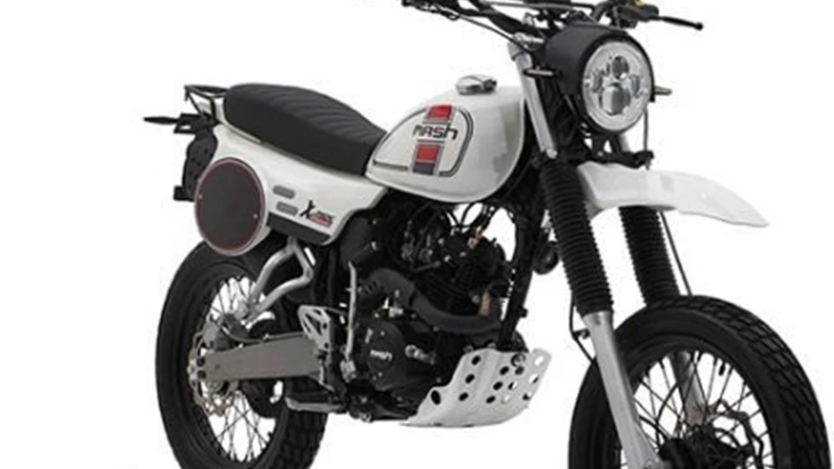 Mash X-Ride 50 Bild 1: Mash X-Ride 50
