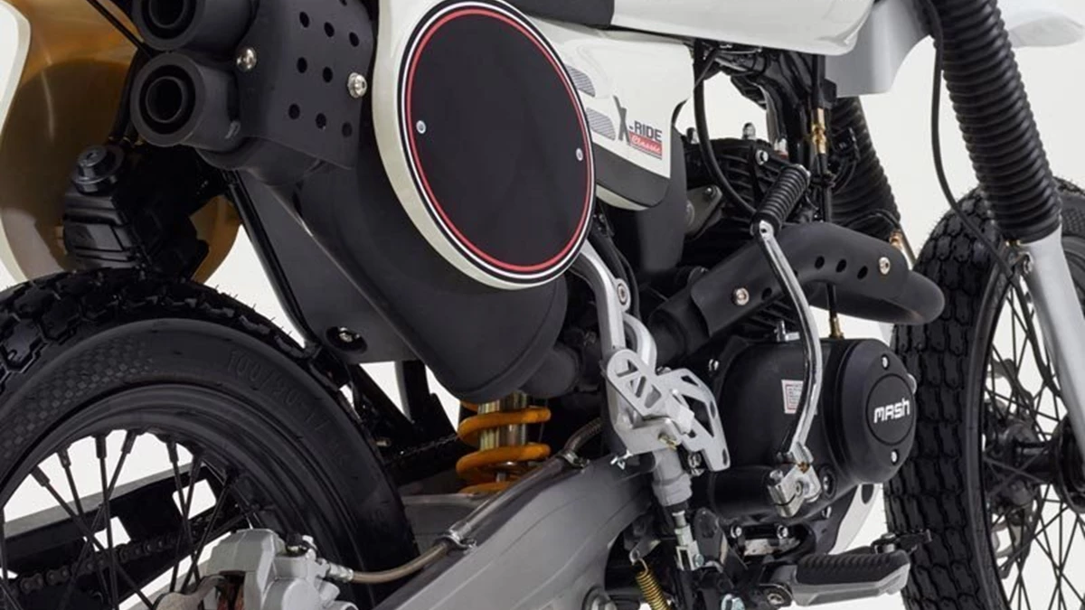 Mash X-Ride 50 Bild 3: Mash X-Ride 50