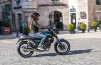 Mash Black Seven 2025 - Bild 4 Mash Black Seven 2025 - Bild 4