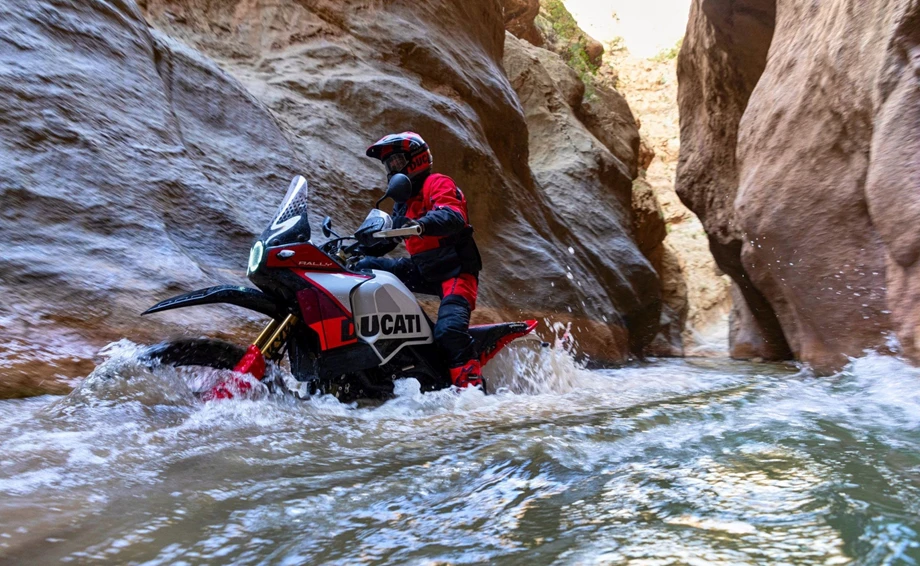 Ducati DesertX Rally Bild 9: Ducati DesertX Rally