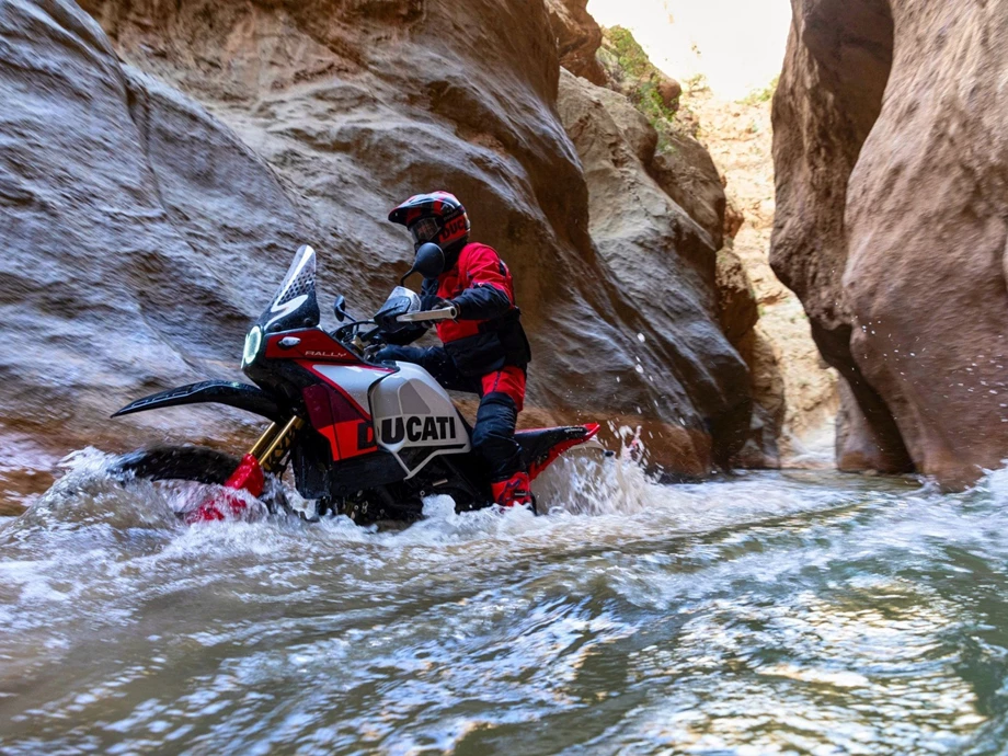 Ducati DesertX Rally Bild 9: Ducati DesertX Rally
