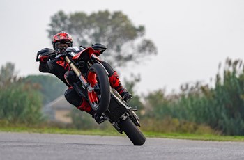 Ducati Hypermotard 698 Mono 2025 - Bild 6