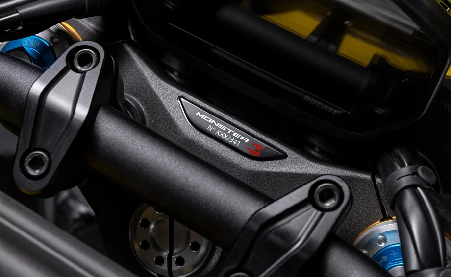 Ducati Monster Senna Bild 11: Ducati Monster Senna