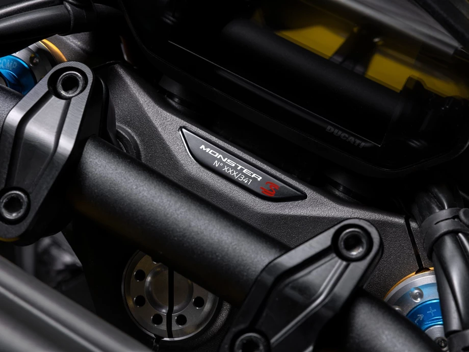 Ducati Monster Senna Bild 11: Ducati Monster Senna