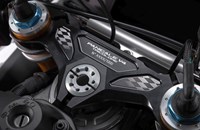 Ducati Panigale V4 Tricolore 2025 - Bild 6