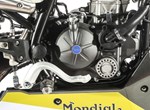 FB Mondial Flat Track 125i ABS