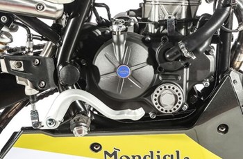 FB Mondial Flat Track 125i ABS 2025 - Bild 18
