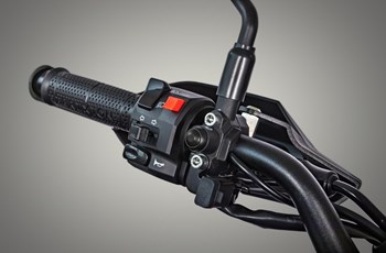 Brixton Crossfire 500 STORR 2025 - Bild 4