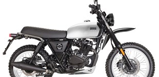 Voge Brivido 125i ABS LC 2024 vs Brixton Felsberg 125 XC 2025