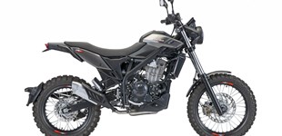 Beta Alp X 2025 vs Beta Alp 4.0 2024