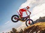 Beta Evo 250 2T Factory