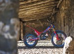 Beta Evo 250 2T Factory