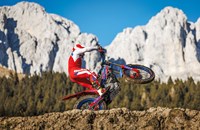 Beta Evo 300 4T Factory 2025 - Bild 4