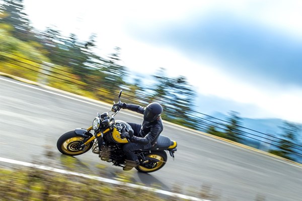 Kawasaki Z900 RS SE () - Bild 5
