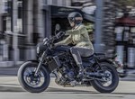 Kawasaki Eliminator 500 SE