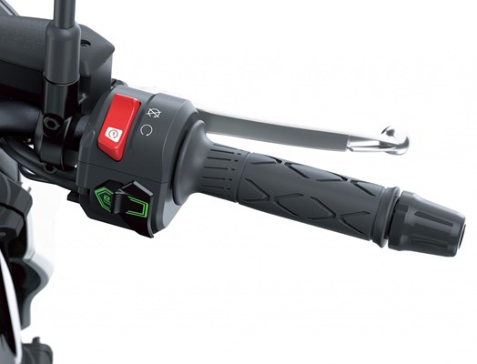 Kawasaki Z7 Hybrid () - Bild 8