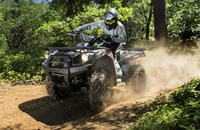 Kawasaki Brute Force 750 4x4i EPS 2025 - Bild 3