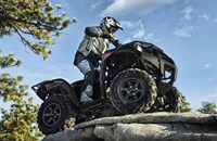 Kawasaki Brute Force 750 4x4i EPS 2025 - Bild 4